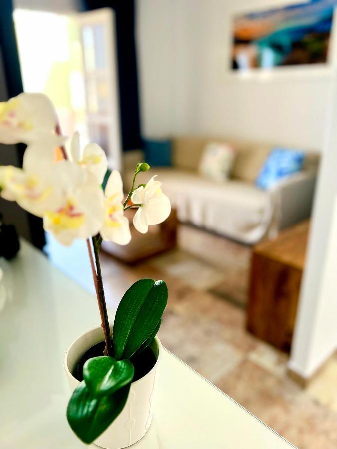 Cosy, New Studio In Costa Adeje Экстерьер фото